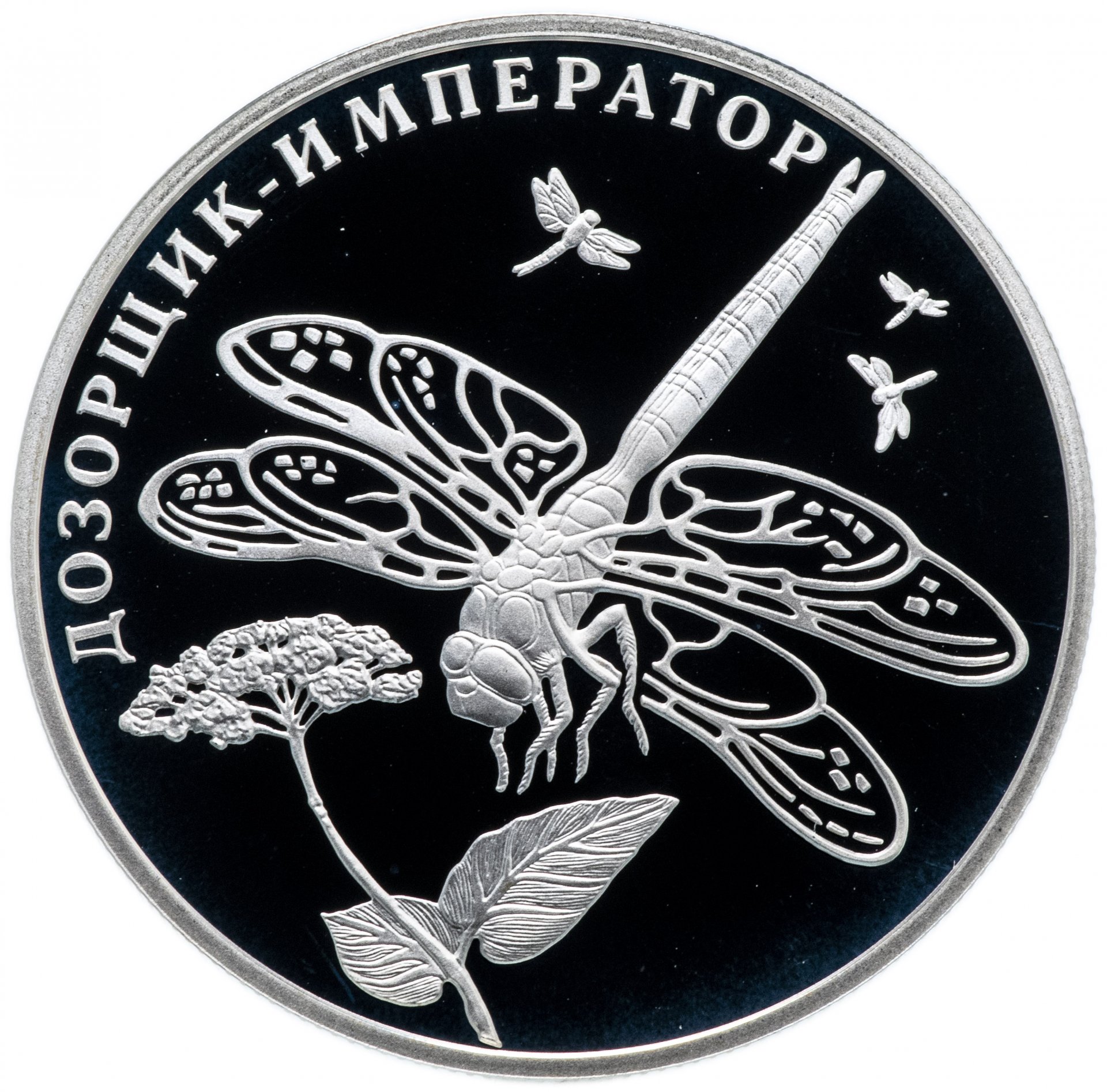 Купить серебряную монету 2 рубля 2008 «Дозорщик-император» в интернет ...