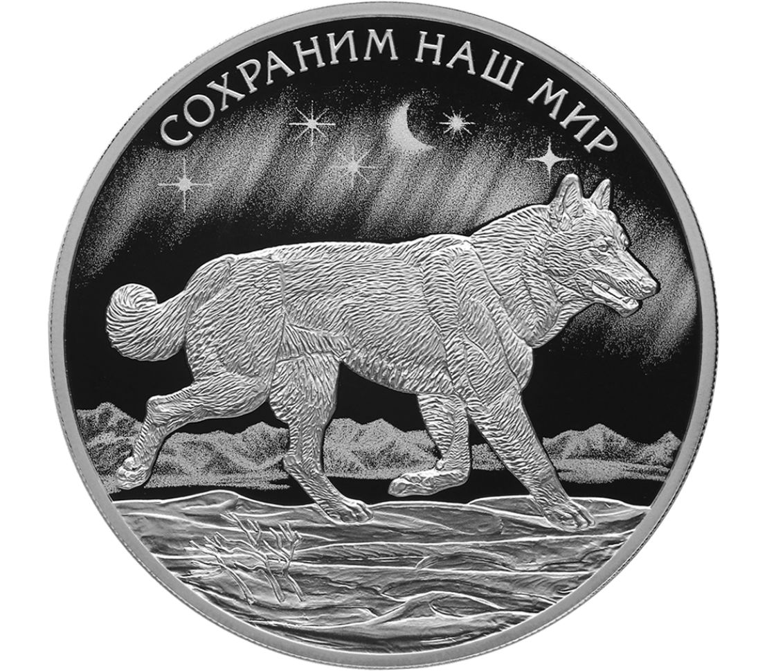 Монета сохраним наш мир. Серебряная монета Полярный волк. Монета Полярный волк 2020 серебро. 50 Рублей 2020 «Полярный волк». Монета Полярный волк 2020 золото.