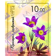  2019. ЛНР. 171. Прострел раскрытый, фото 1 