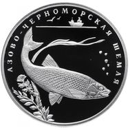  2 рубля 2008 «Азово-черноморская шемая», фото 1 
