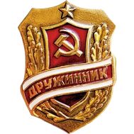  Знак нагрудный «Дружинник» СССР, фото 1 