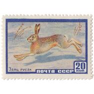  1960. СССР. 2318. Заяц-русак, фото 1 