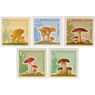  1964. СССР. 3123-3127. Грибы. 5 марок (с лаком), фото 1 
