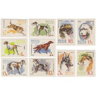  1965. СССР. 3073-3082. Служебные и охотничьи собаки. 10 марок, фото 1 