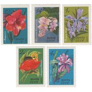  1971. СССР. 4012-4016. Тропические и субтропические растения. 5 марок, фото 1 
