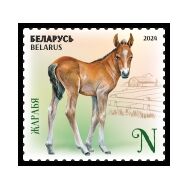  2024. Беларусь. 1555. Детеныши домашних животных. Жеребёнок, фото 1 