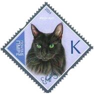  2024. Приднестровье. 1288. Породы кошек. Мейн-кун, фото 1 