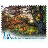  2024. Польша. 5536. Европейское дерево года. Европейский бук, фото 1 