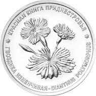  1 рубль 2025 &laquo;Гвоздика изменчивая. Красная книга. Флора&raquo; Приднестровье, фото 1 