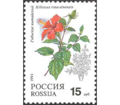  5 почтовых марок «Комнатные растения» 1993, фото 3 