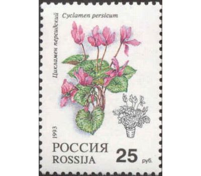  5 почтовых марок «Комнатные растения» 1993, фото 4 