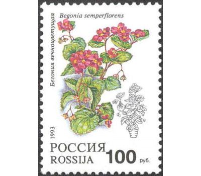  5 почтовых марок «Комнатные растения» 1993, фото 6 