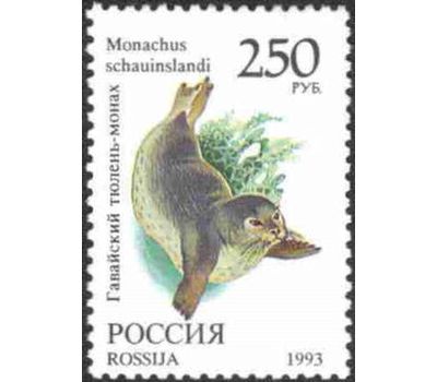  8 почтовых марок «Фауна мира» 1993, фото 4 
