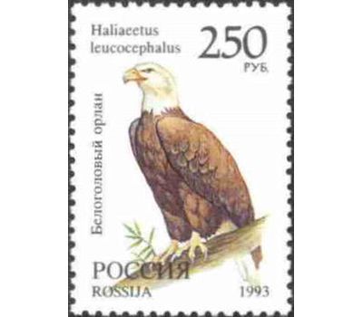  8 почтовых марок «Фауна мира» 1993, фото 5 
