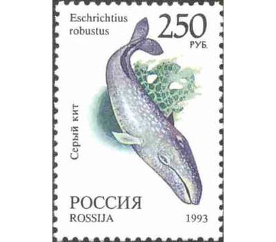  8 почтовых марок «Фауна мира» 1993, фото 9 