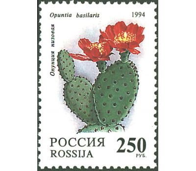  5 почтовых марок «Комнатные растения. Кактусы» 1994, фото 5 