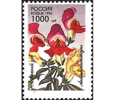 5 почтовых марок «Декоративные растения скверов, садов и парков» 1996, фото 6 