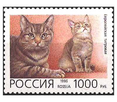  5 почтовых марок «Домашние кошки» 1996, фото 2 