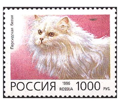  5 почтовых марок «Домашние кошки» 1996, фото 4 