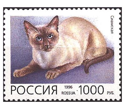  5 почтовых марок «Домашние кошки» 1996, фото 5 