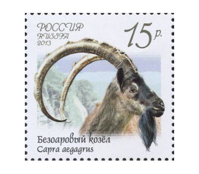  4 почтовые марки «Фауна России. Дикие козлы и бараны» 2013, фото 2 