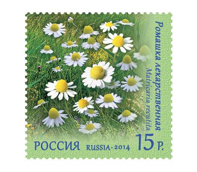  4 почтовые марки «Флора России. Полевые цветы» 2014, фото 4 