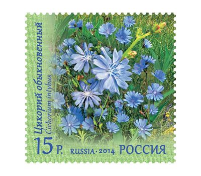  4 почтовые марки «Флора России. Полевые цветы» 2014, фото 5 