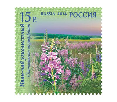  4 почтовые марки «Флора России. Полевые цветы» 2014, фото 2 