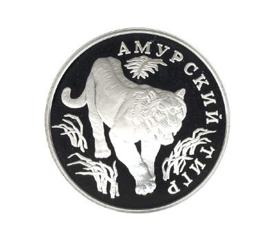  Серебряная монета 1 рубль 1993 «Амурский тигр», фото 1 
