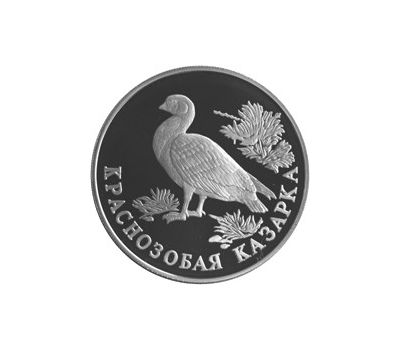  Серебряная монета 1 рубль 1994 «Краснозобая казарка», фото 1 