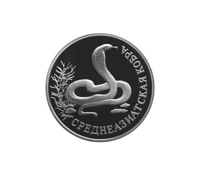  Серебряная монета 1 рубль 1994 «Среднеазиатская кобра», фото 1 