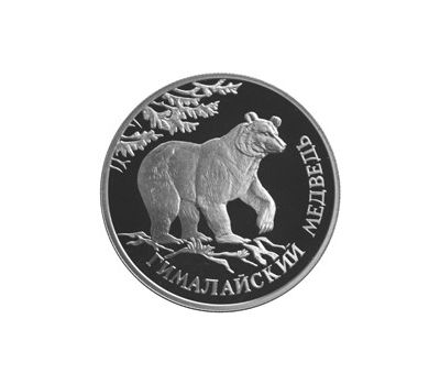  Серебряная монета 1 рубль 1994 «Гималайский медведь», фото 1 