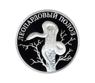  Серебряная монета 1 рубль 2000 «Леопардовый полоз», фото 1 