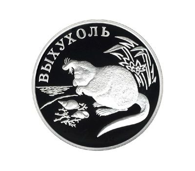  Серебряная монета 1 рубль 2000 «Выхухоль», фото 1 