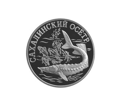  Серебряная монета 1 рубль 2001 «Cахалинский осетр», фото 1 
