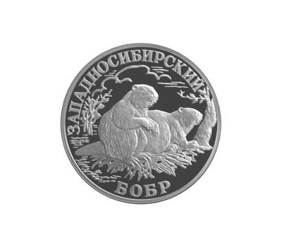 Серебряная монета 1 рубль 2001 «Западносибирский бобр», фото 1 