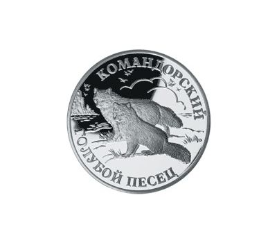  Серебряная монета 1 рубль 2003 «Командорский голубой песец», фото 1 