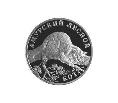  Серебряная монета 1 рубль 2004 «Амурский лесной кот», фото 1 