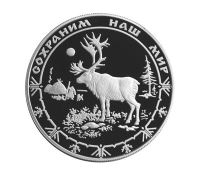  Серебряная монета 25 рублей 2004 «Северный олень», фото 1 