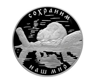  Серебряная монета 25 рублей 2008 «Речной бобр», фото 1 