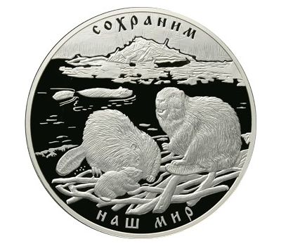  Серебряная монета 100 рублей 2008 «Речной бобр», фото 1 
