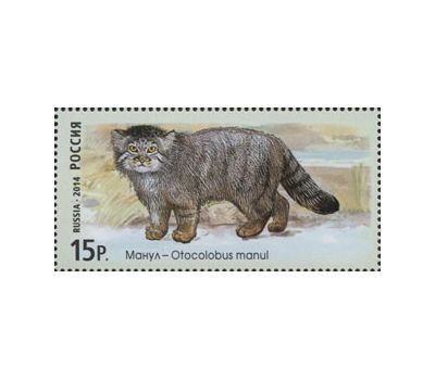  4 почтовые марки «Фауна России. Дикие кошки. Манул, Лесной кот, Камышовый кот» 2014, фото 2 