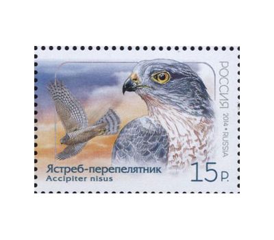  2 почтовые марки «Совместный выпуск России и КНДР. Птицы» 2014, фото 3 