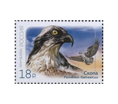  2 почтовые марки «Совместный выпуск России и КНДР. Птицы» 2014, фото 2 