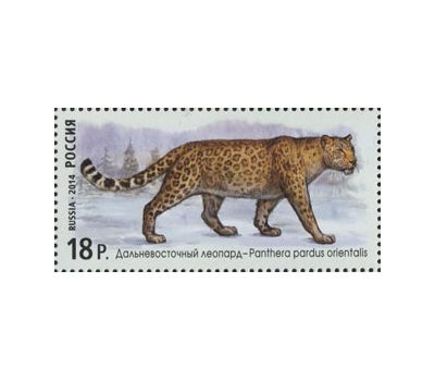  3 почтовые марки «Фауна России. Дикие кошки» 2014, фото 3 