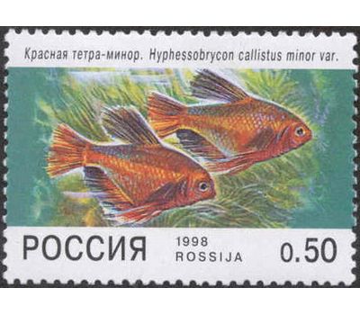  5 почтовых марок «Фауна. Аквариумные рыбы» 1998, фото 2 