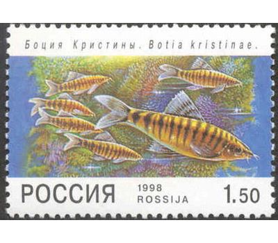  5 почтовых марок «Фауна. Аквариумные рыбы» 1998, фото 5 
