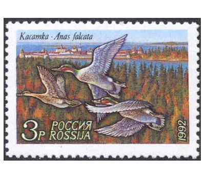  3 почтовые марки «Утки» 1992, фото 4 