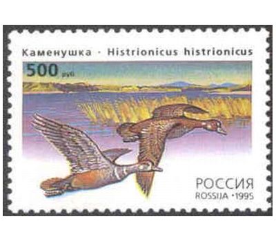  3 почтовые марки «Утки» 1995, фото 2 