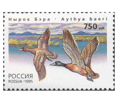  3 почтовые марки «Утки» 1995, фото 3 